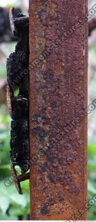 Photo Texture of Metal Rust 0010